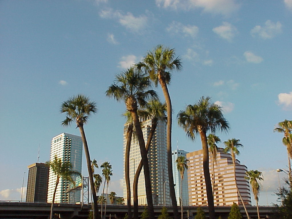 Tampa